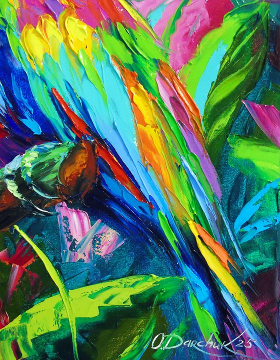 Macaw Parrot