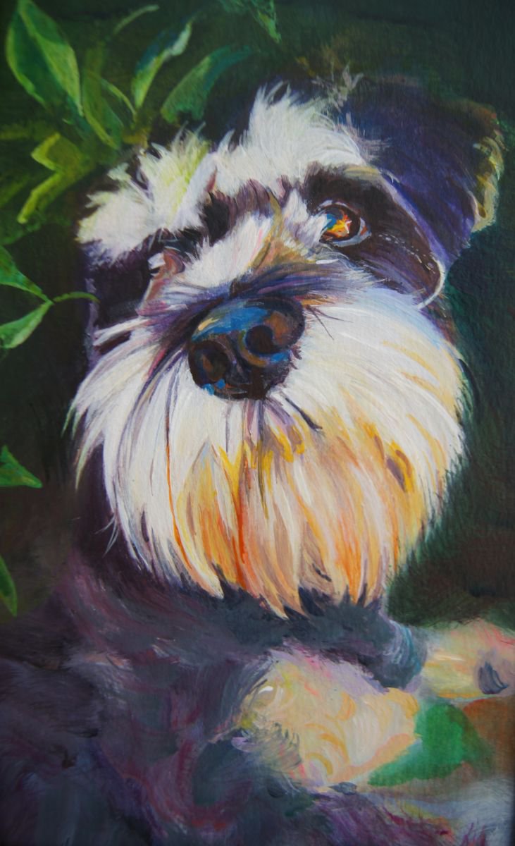 Impressionistic Painting , Miniature Schnauzer By Karen Wilcox, 6 X 10, Artwork For Sale On Artfinder