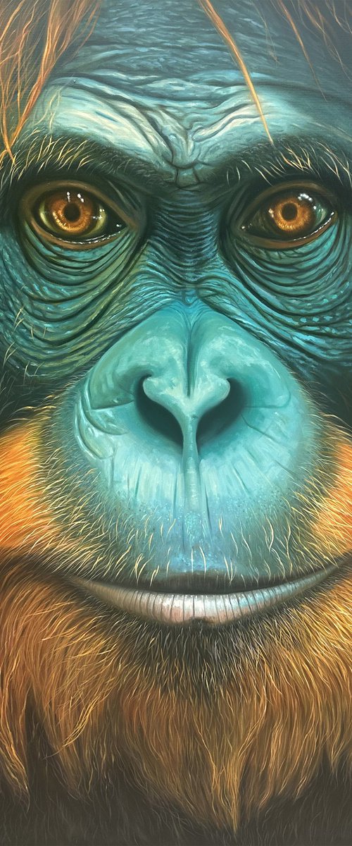 Eyes of the Wild by Tigran Araqelyan