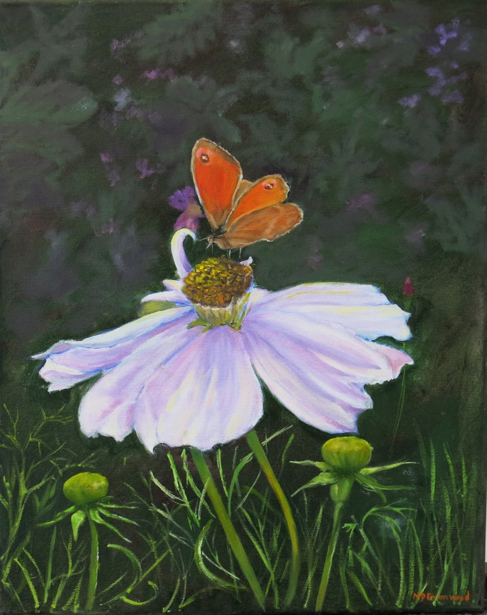 Cosmos and Gatekeeper butterfly by Maureen Greenwood