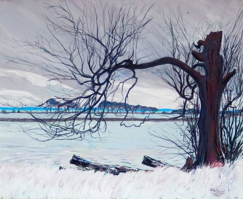 The Broken Tree by Stephen Howard Harrison
