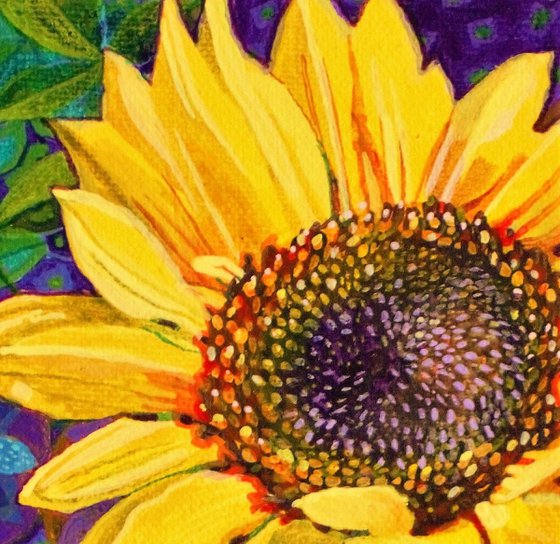 Sunflower