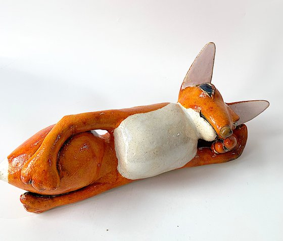 Resting Fox