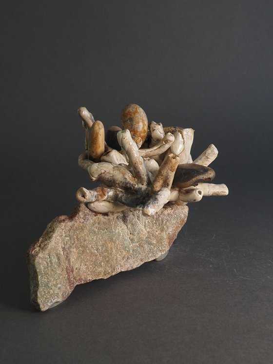 Flowers of St. Anthony