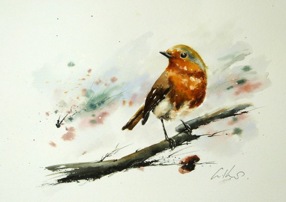 The Robin. Original watercolour painting.