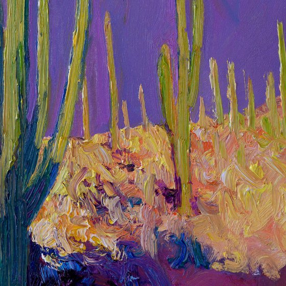 Desert Evening, Saguaros