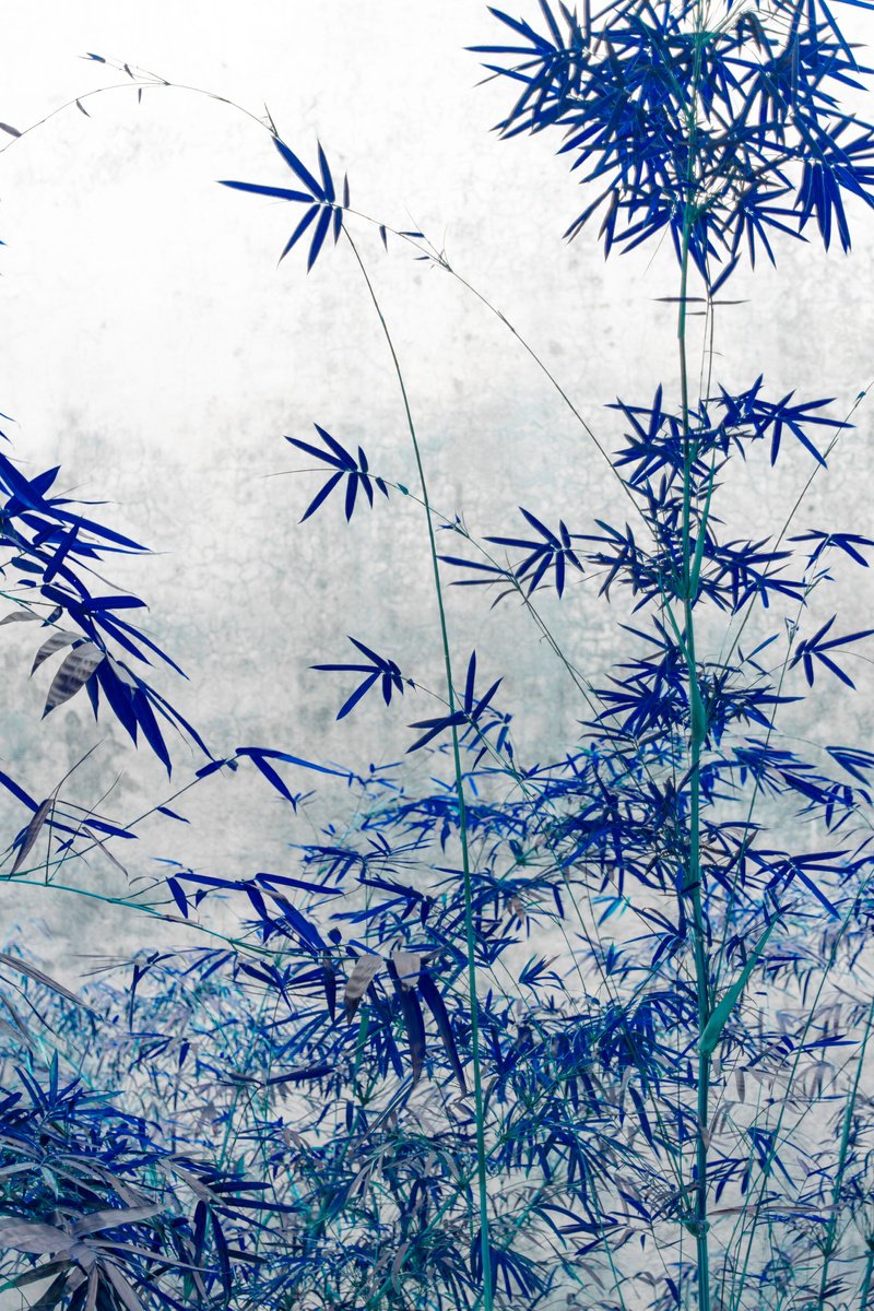 Impressionistic Photograph , The Power Of Simplicity I By Viet Ha Tran, 25 X 37, Artwork For Sale On Artfinder