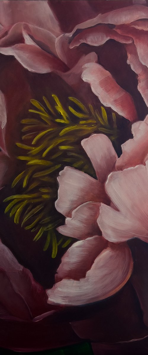 Antique Rose Peony by Karina Kopteva