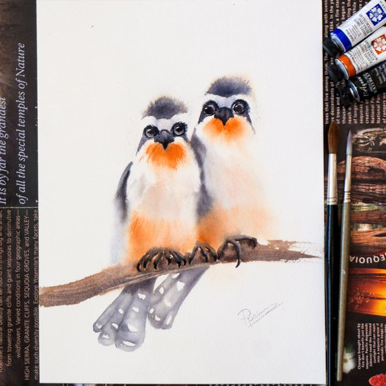 Couple birds Squirrel cuckoo  Original Watercolor