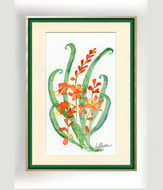 Crocosmia motif