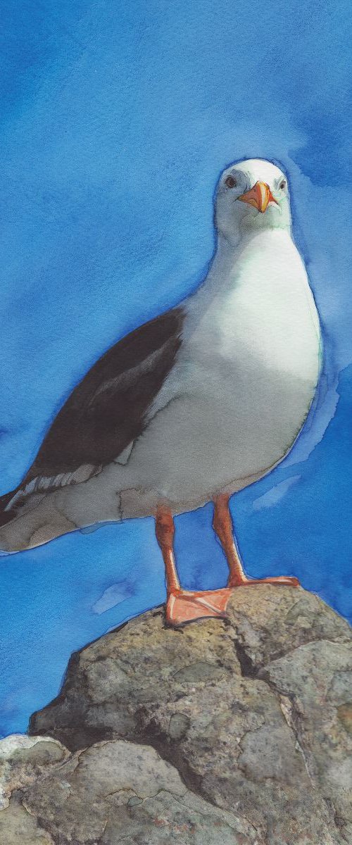 Blacksea Seagull by REME Jr.
