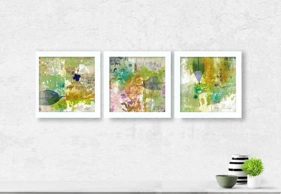 Calming Encounters Collection 1 - 3 Framed Works of Art