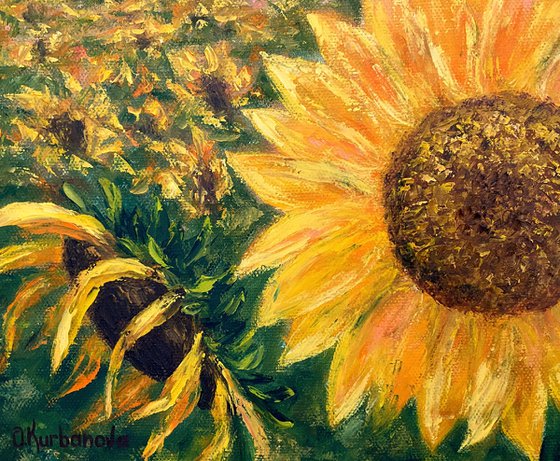 Charming sunflowers