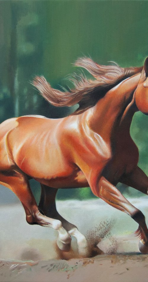 Power by Valeri Tsvetkov