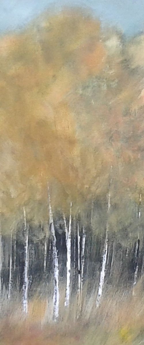 Autumnal Birches by Jan Rippingham
