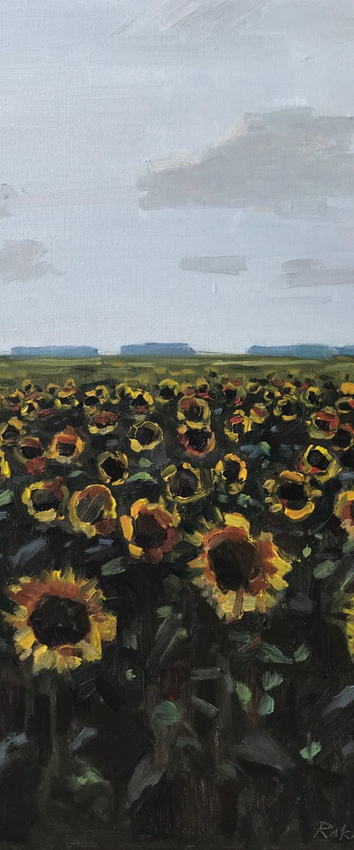 Sunflowers of Ukraine by Michael Rak