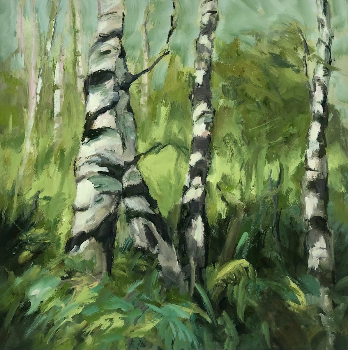 Impressionistic Landscape Oil Painting By Joanna Farrow, 17 X 17, Silver Birches, Original Artwork