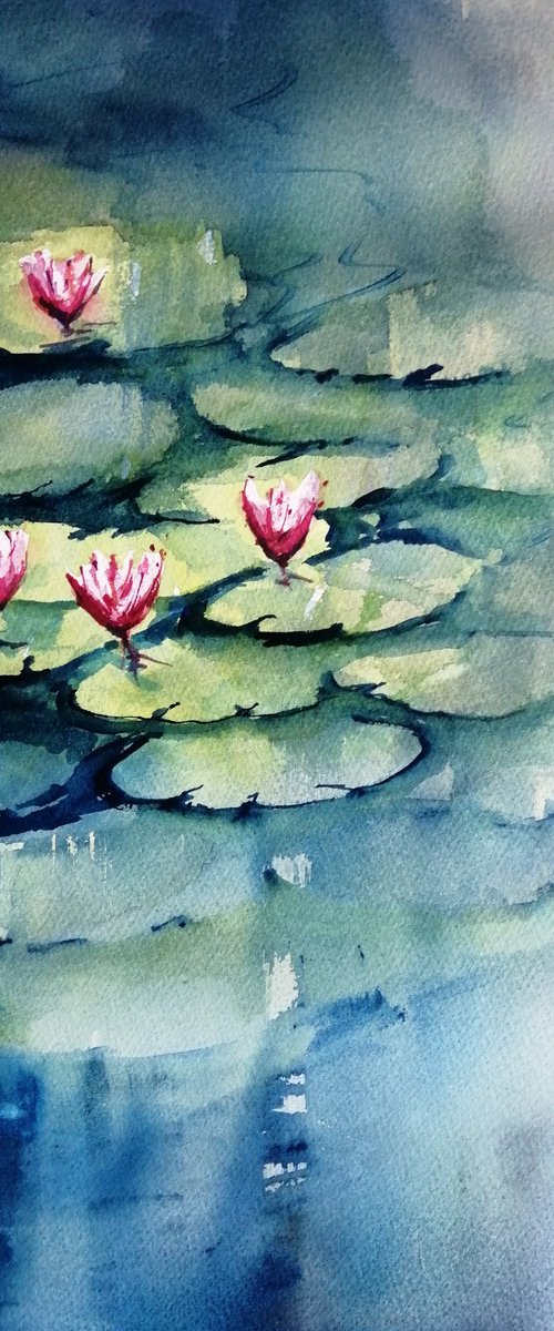 Lily pond by Giorgio Gosti