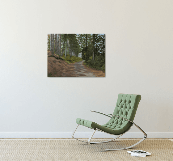 Rocky Road Through the Pine Forest