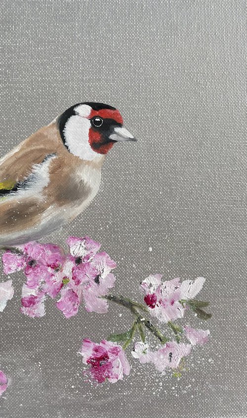 Goldfinch on Cherry Blossom by Laure Bury