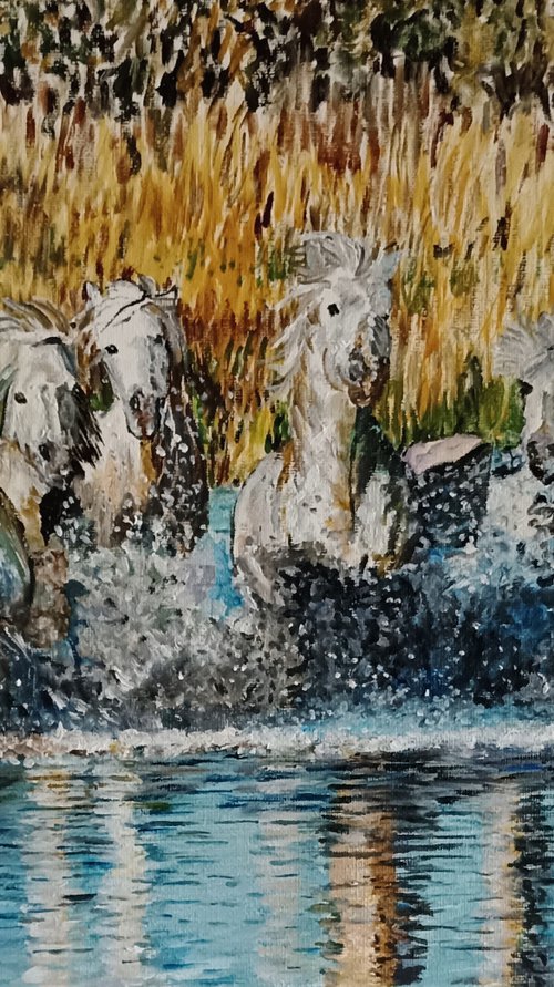Horses in the water by Isabelle Lucas