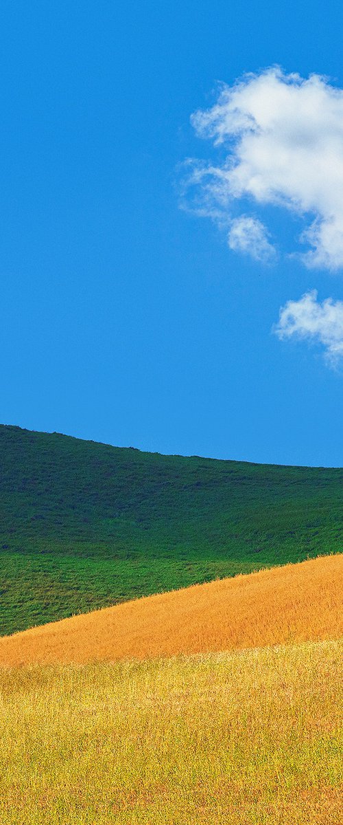 Abstract Tuscany - Hommage to Franco Fontana by Peter Zelei