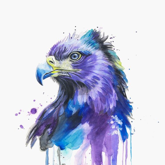 Colourful Eagle Painting