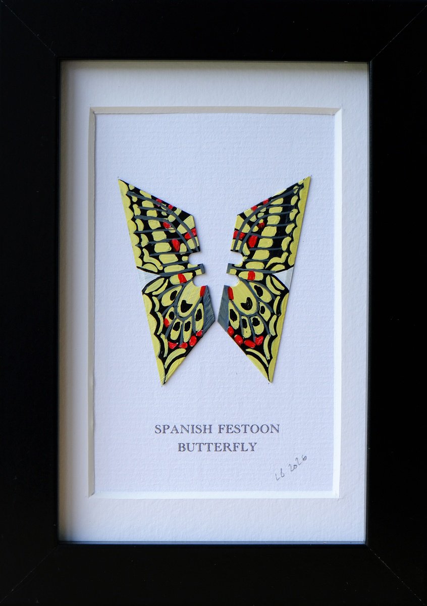 Photorealistic Collage , Spanish Festoon Butterfly By Lene Bladbjerg, 5 X 7, Artwork For Sale On Artfinder