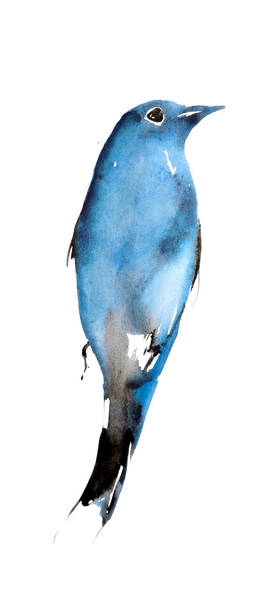 Bird by Nadia Moniatis