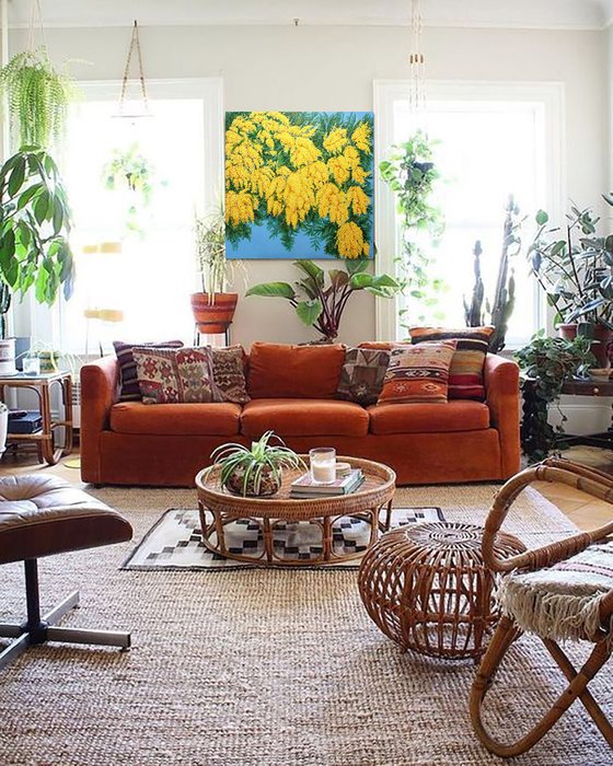 Mimosas in Bloom
