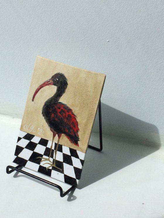 Bird portrait of black Ibis on a chessboard - Gift idea for bird lover