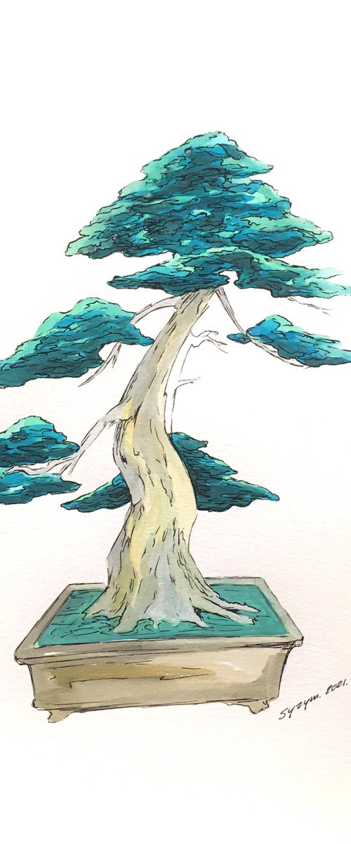 BONSAI VII by Zbigniew Skrzypek