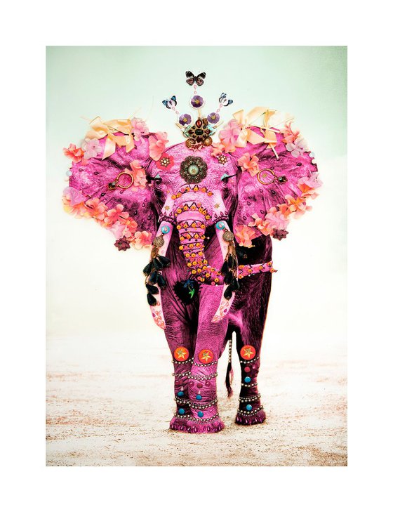 Pink Elephant