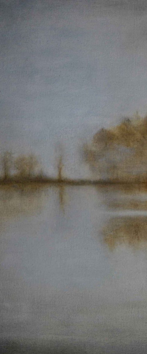 Mist by Daniela Roughsedge