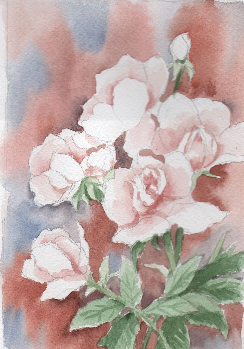 Pale roses by Carla Sternberg Koch