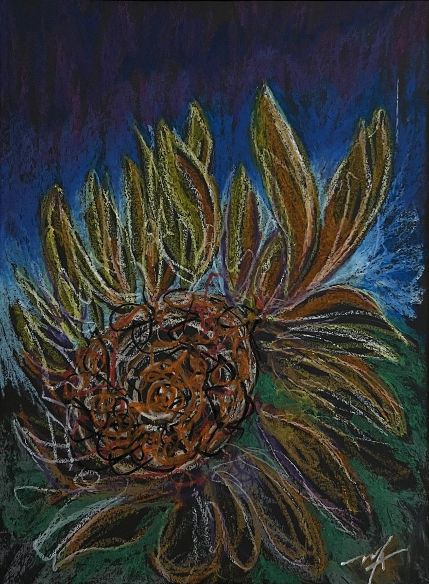 Expressive Botanical Pastel Drawing By Maxence Ma, 12 X 17", Flower In The Circles, Original Artwork