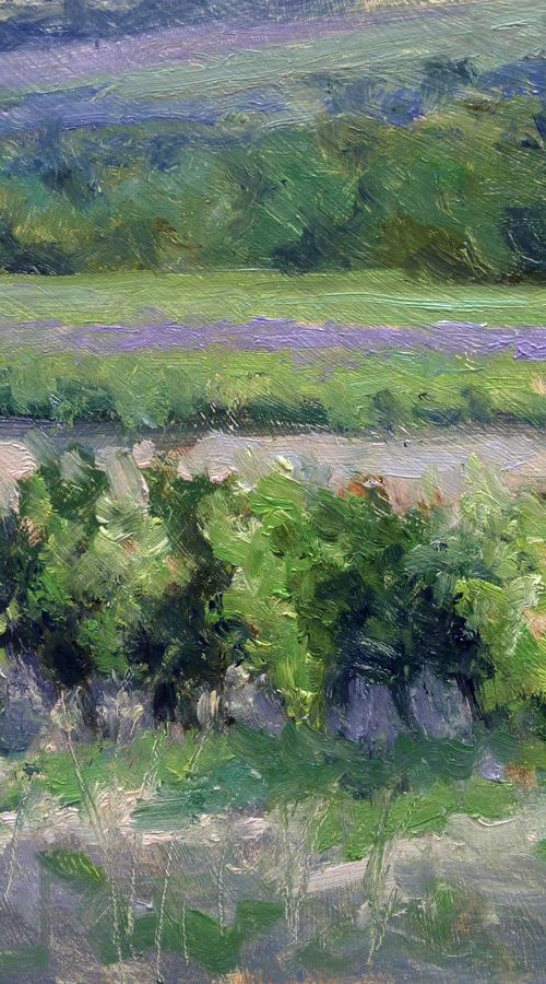 Vignes et Lavandes by Pascal Giroud