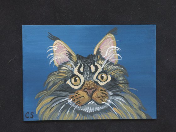 ACEO ATC Original Miniature Painting Maine Coon Cat Pet Art-Carla Smale