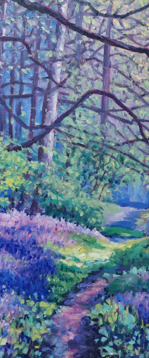 Path Through the Bluebells by Zoe Elizabeth Norman