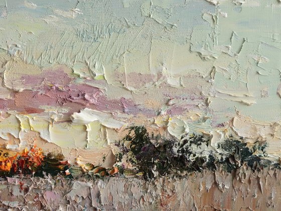 Evening Wildflower Field