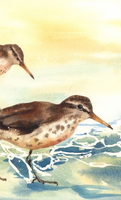Sandpiper Surf - framed original watercolour by Alison Fennell