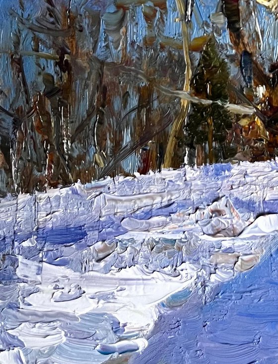 Century - old poplar