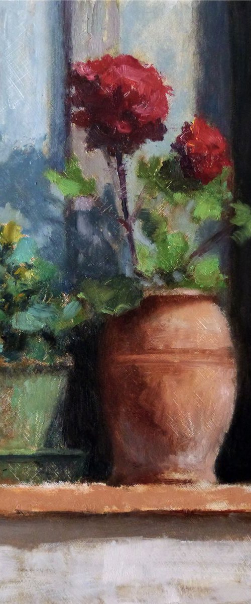 Geraniums by Pascal Giroud