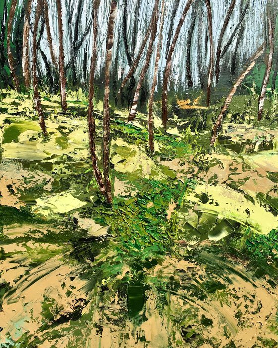 The forest in spring