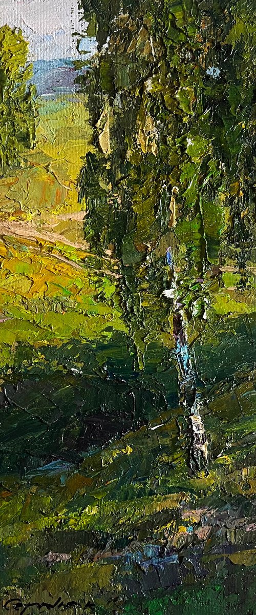 Sunny Day in the Birch Forest by Boris Serdyuk