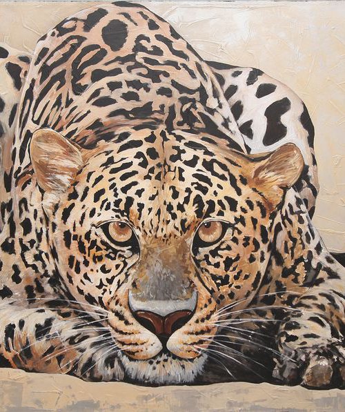 Leopard by Bahareh Kamankesh