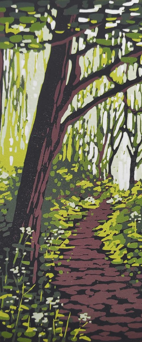 Woodland Path and Parsley by Alexandra Buckle