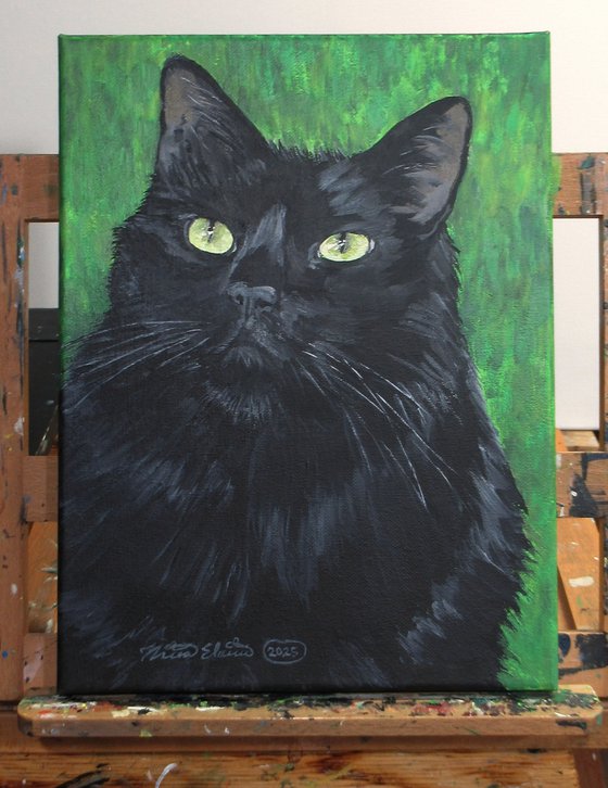 Charismatic Cat