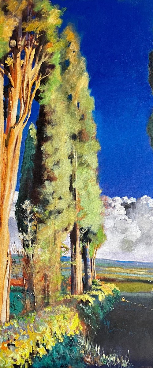Montalcino 4 by John Welsh