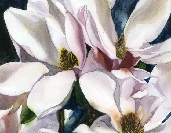 spring magnolia watercolor